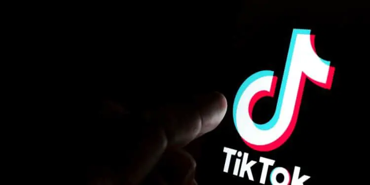 Why Do We Love TikTok So Much?