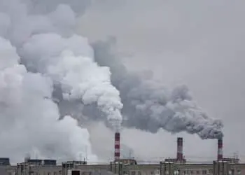 3 of The Craziest Things Happening in The Environment Right Now