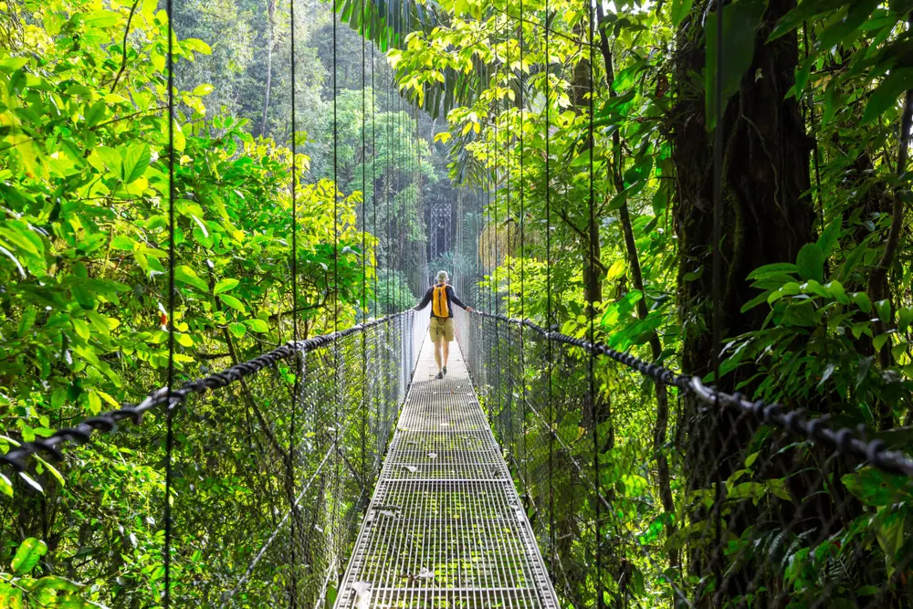 Image: travel to costa rica's jungle with no restrictions