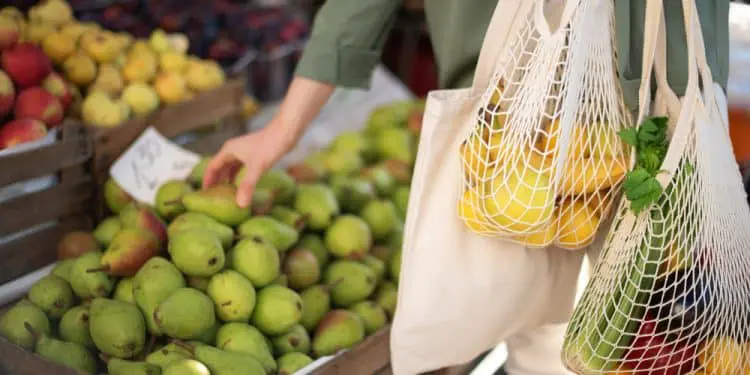 3 Super (Super) Easy Ways to Give The Environment A Helping Hand This Year