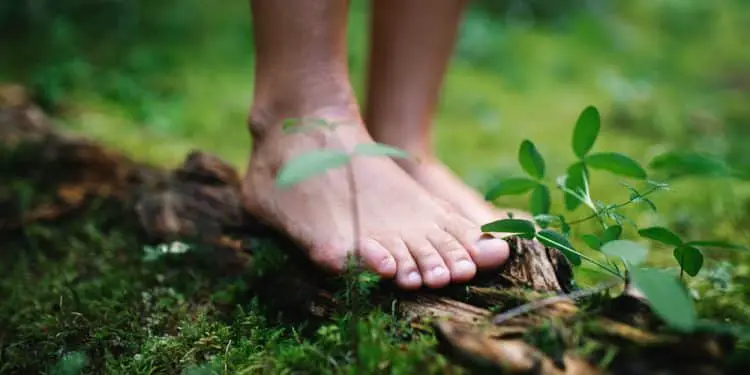 How To Connect More to Nature to Be Happier and Healthier (And Why You Really Should Do So)