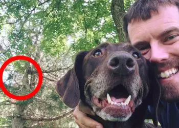 Man Shares Selfie with Dog – When He Looks Back at the Photo, He Is Shocked!