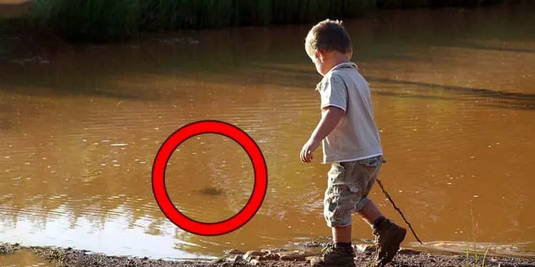 Boy Keeps Looking At River – When His Parents See Why, They Immediately Call the Newspaper!