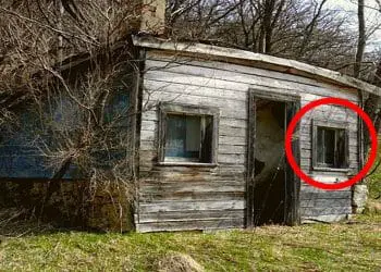 Woman (96) Donates Cabin to Neighbor – What He Finds There Is Stunning