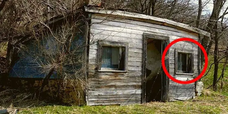 Woman (96) Donates Cabin to Neighbor – What He Finds There Is Stunning