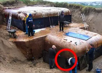 Woman Discovers Buried Bunker in Her Backyard, Then She Sees Why