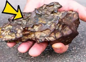 Boy Finds Strange Rock in Backyard – 1 Day Later His Parents Are Called by Police!