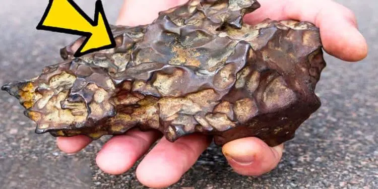 Boy Finds Strange Rock in Backyard – 1 Day Later His Parents Are Called by Police!