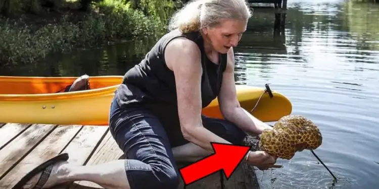 Woman Finds Strange Object In Water – Her Husband Is Shocked When He Sees It