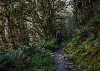 man standing on pathway under trees