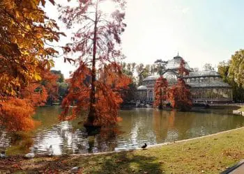 brown wooden bridge over river
