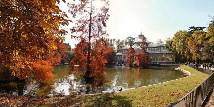 brown wooden bridge over river