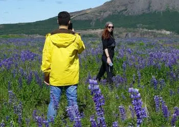 person using a planner